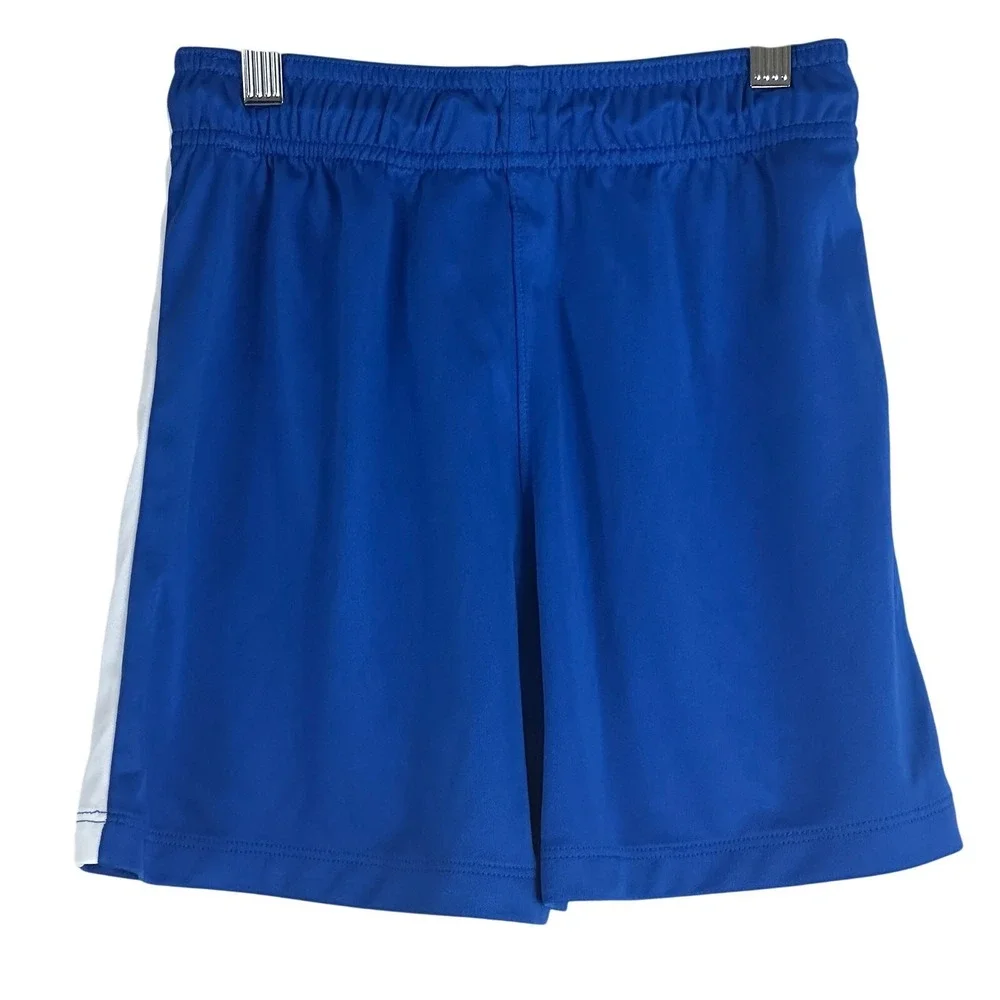 Nike Athletic Shorts Womens S Blue Dri-FIT Striped Quick Dry Athleisure Fitness